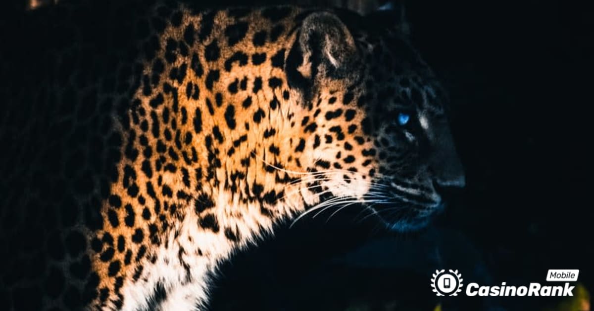 Yggdrasil Partners ReelPlay ќе го ослободи Jaguar SuperWays од Bad Dingo